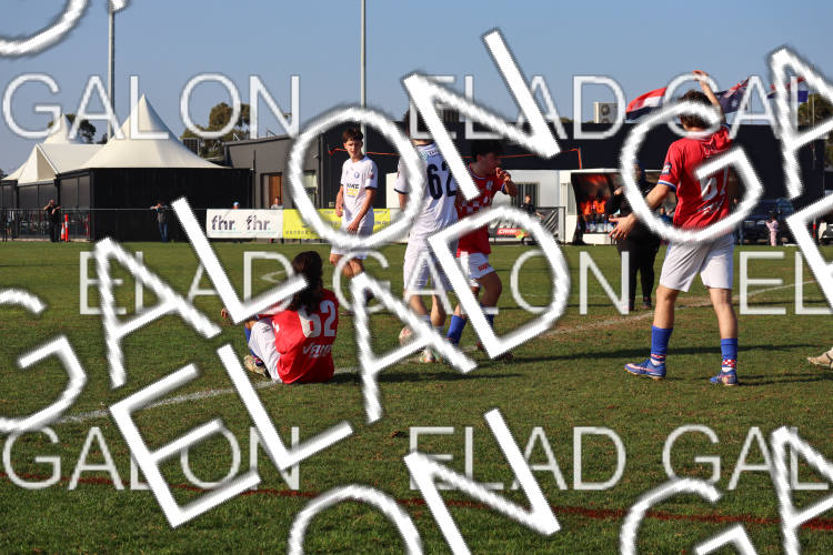 Melbourne Knights vs Oakleigh Cannons photo