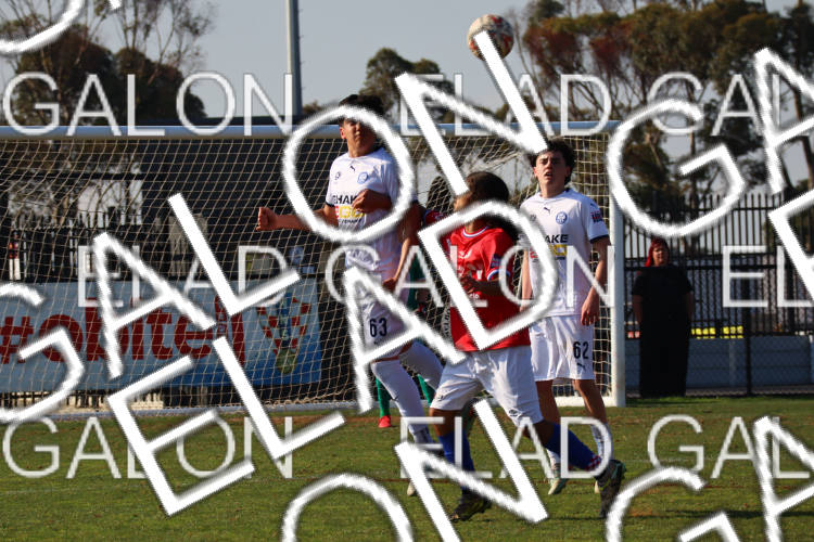 Melbourne Knights vs Oakleigh Cannons photo