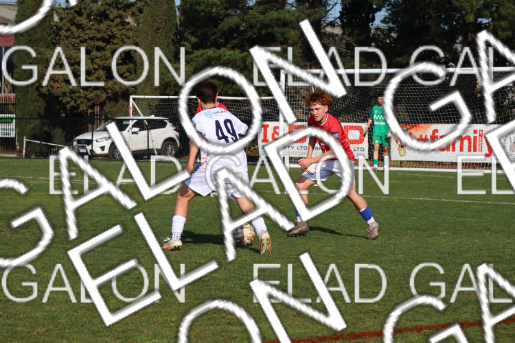 Melbourne Knights vs Oakleigh Cannons photo