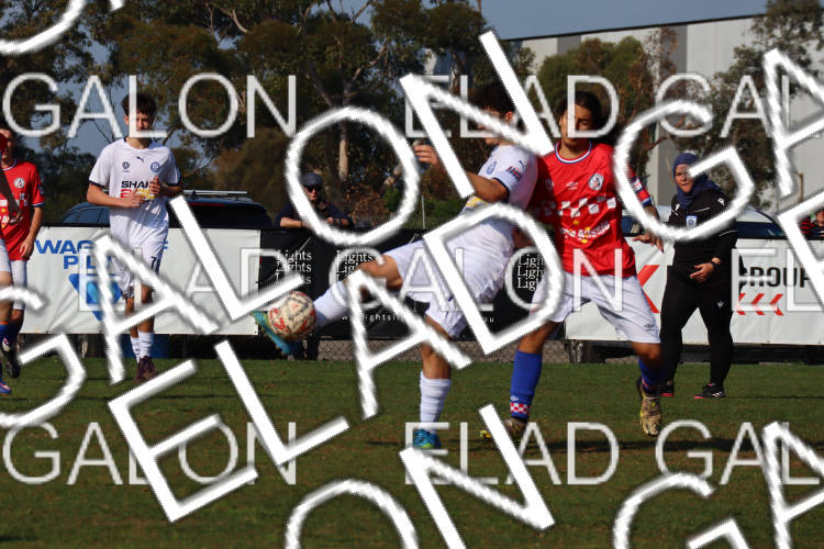 Melbourne Knights vs Oakleigh Cannons photo