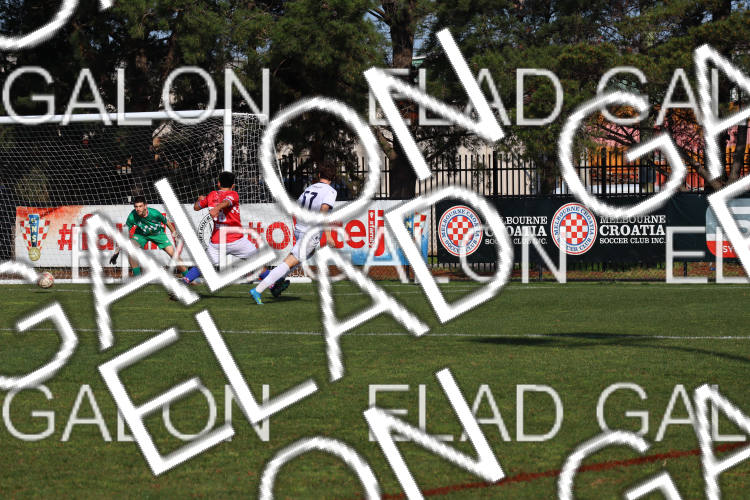 Melbourne Knights vs Oakleigh Cannons photo