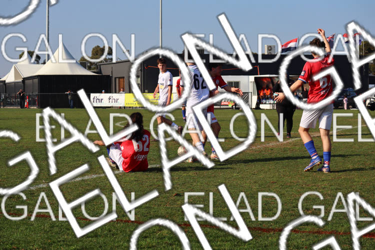 Melbourne Knights vs Oakleigh Cannons photo
