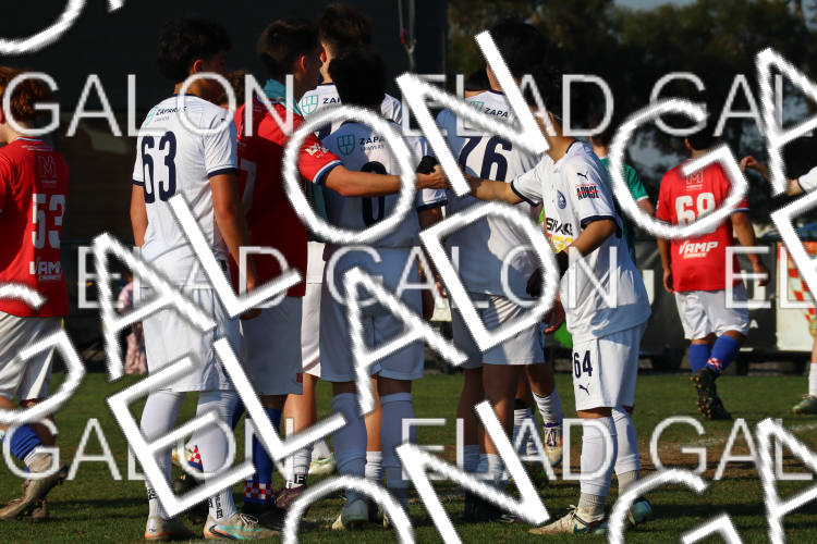 Melbourne Knights vs Oakleigh Cannons photo