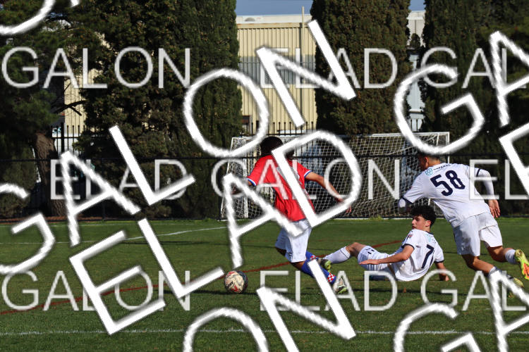 Melbourne Knights vs Oakleigh Cannons photo