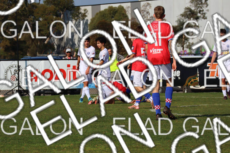Melbourne Knights vs Oakleigh Cannons photo