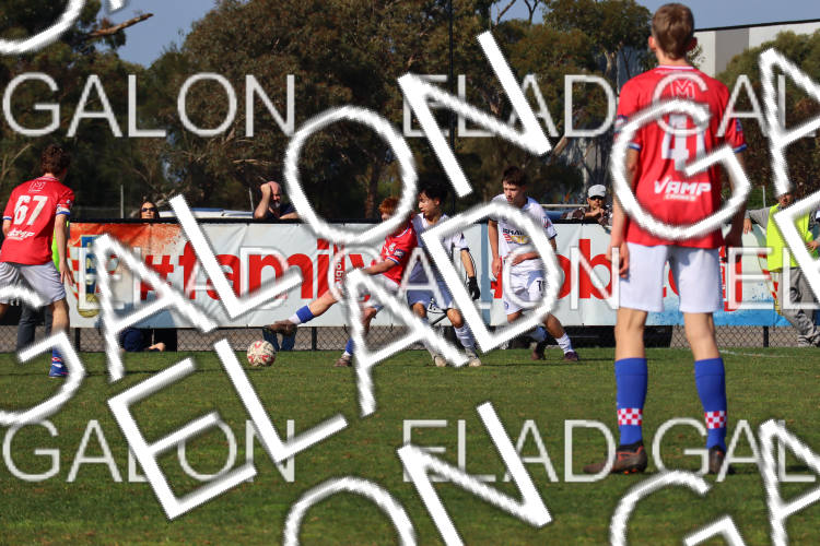 Melbourne Knights vs Oakleigh Cannons photo