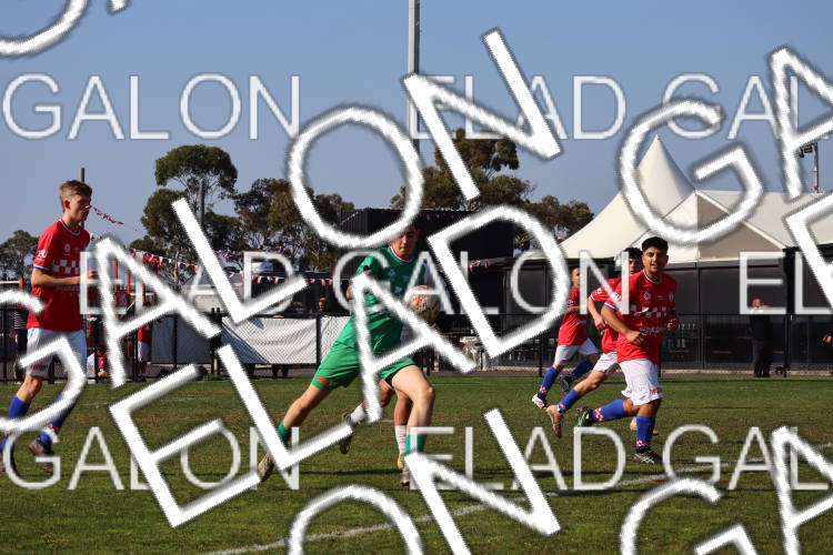 Melbourne Knights vs Oakleigh Cannons photo