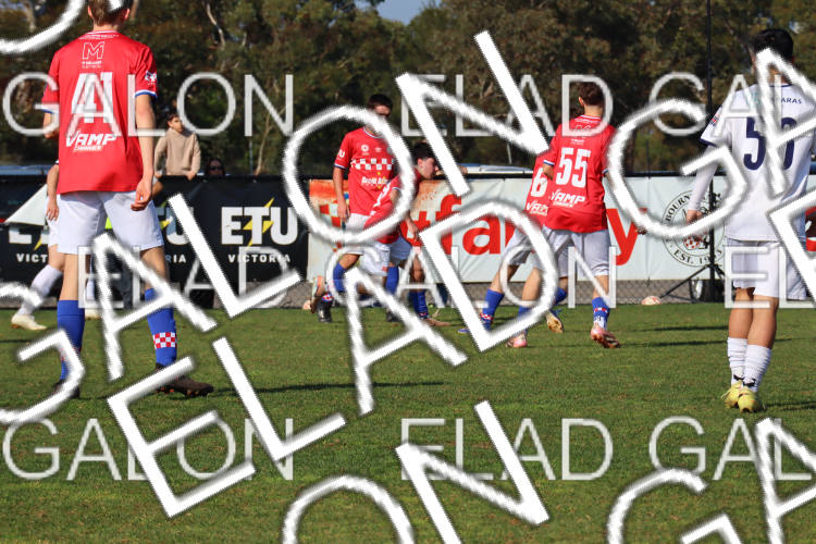 Melbourne Knights vs Oakleigh Cannons photo