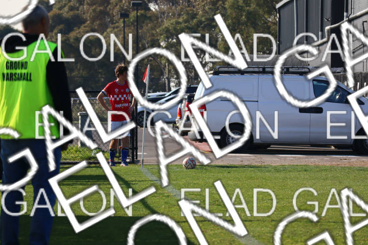 Melbourne Knights vs Oakleigh Cannons photo