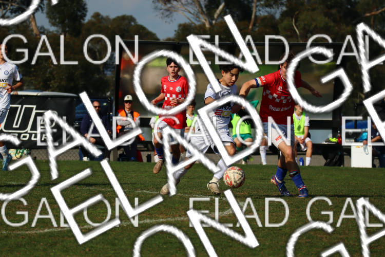 Melbourne Knights vs Oakleigh Cannons photo