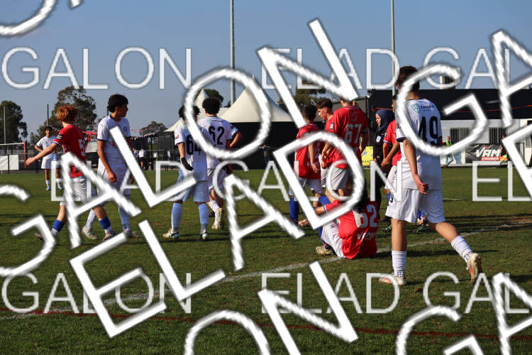 Melbourne Knights vs Oakleigh Cannons photo