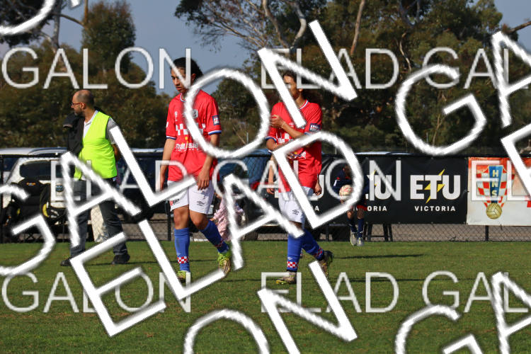 Melbourne Knights vs Oakleigh Cannons photo