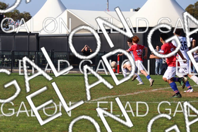 Melbourne Knights vs Oakleigh Cannons photo