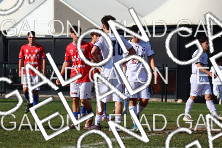 Melbourne Knights vs Oakleigh Cannons photo