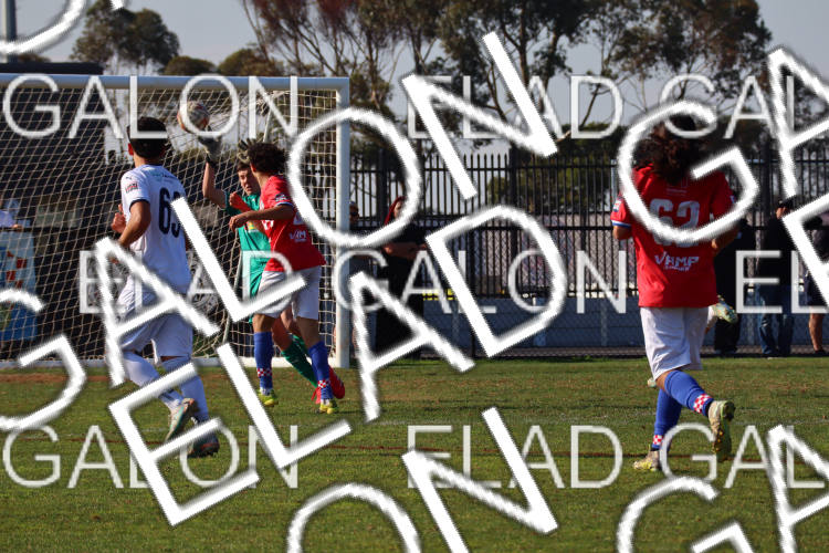 Melbourne Knights vs Oakleigh Cannons photo