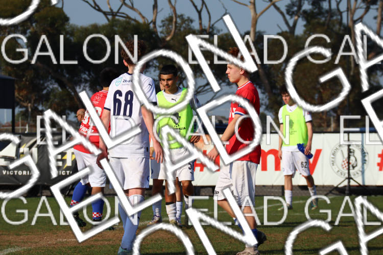 Melbourne Knights vs Oakleigh Cannons photo