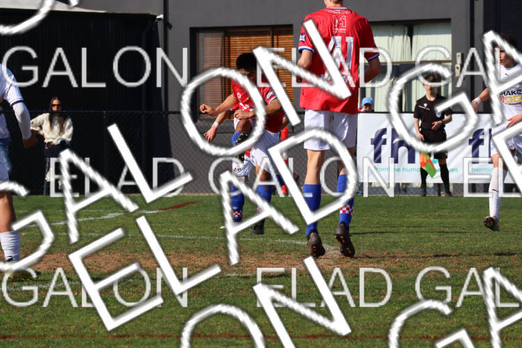 Melbourne Knights vs Oakleigh Cannons photo