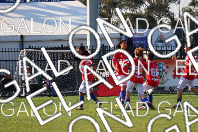 Melbourne Knights vs Oakleigh Cannons photo