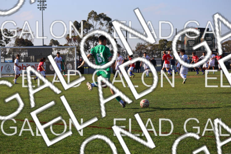 Melbourne Knights vs Oakleigh Cannons photo