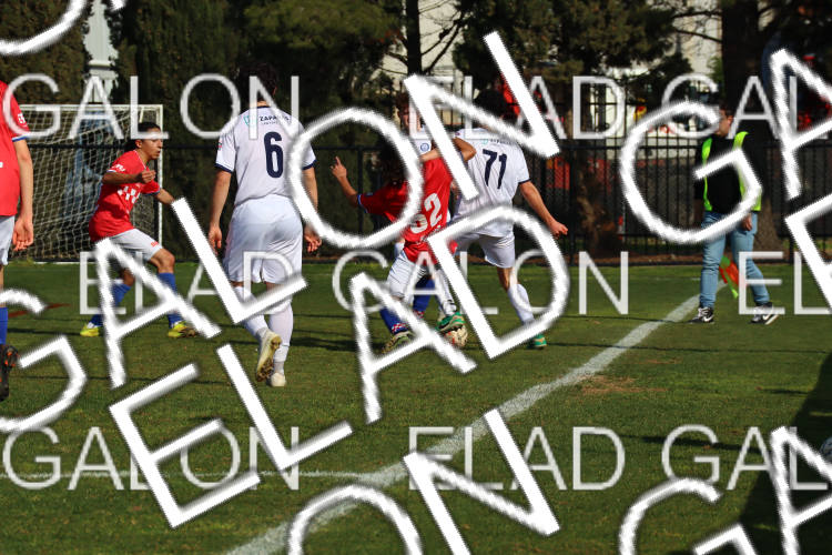 Melbourne Knights vs Oakleigh Cannons photo