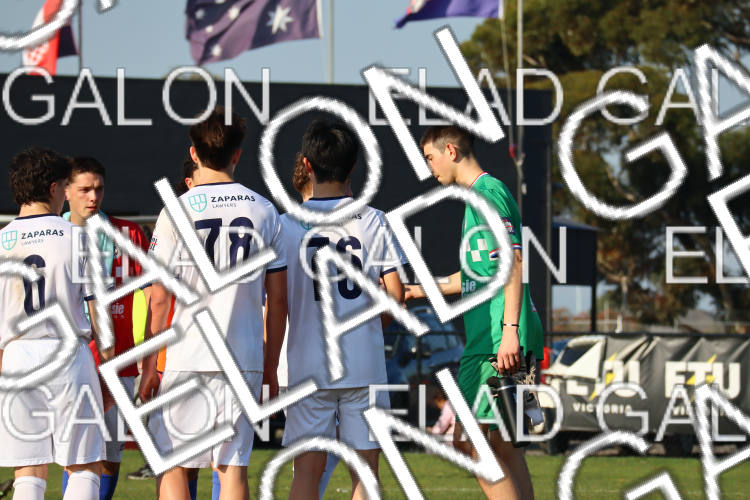 Melbourne Knights vs Oakleigh Cannons photo