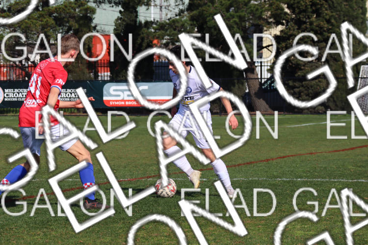 Melbourne Knights vs Oakleigh Cannons photo