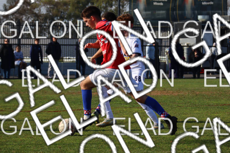 Melbourne Knights vs Oakleigh Cannons photo