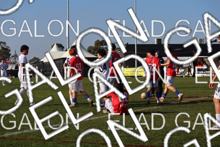 Melbourne Knights vs Oakleigh Cannons photo
