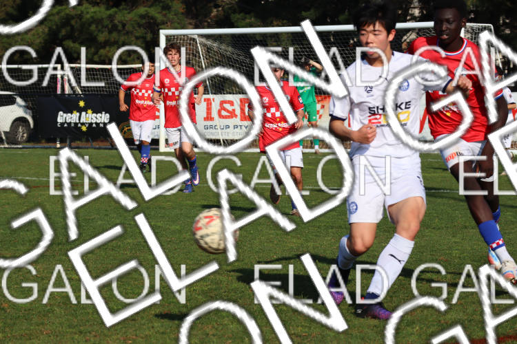 Melbourne Knights vs Oakleigh Cannons photo