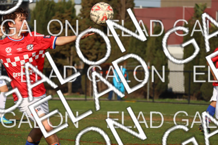 Melbourne Knights vs Oakleigh Cannons photo