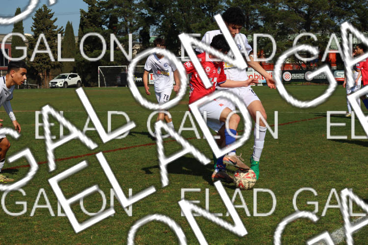 Melbourne Knights vs Oakleigh Cannons photo