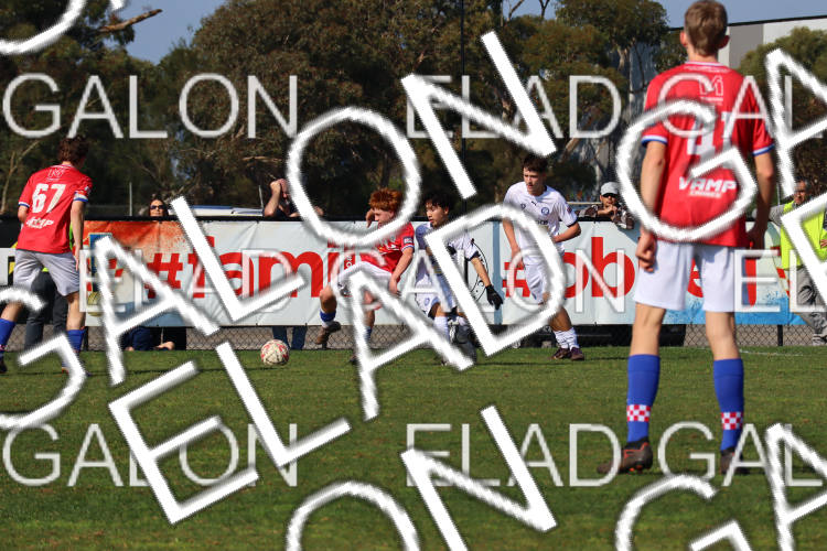 Melbourne Knights vs Oakleigh Cannons photo