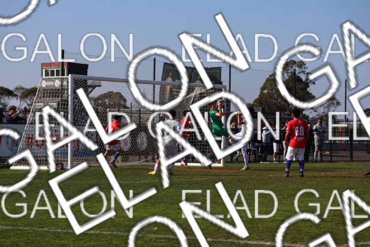 Melbourne Knights vs Oakleigh Cannons photo