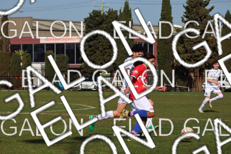 Melbourne Knights vs Oakleigh Cannons photo