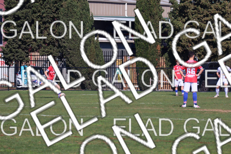 Melbourne Knights vs Oakleigh Cannons photo