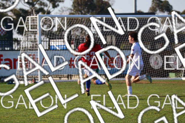 Melbourne Knights vs Oakleigh Cannons photo