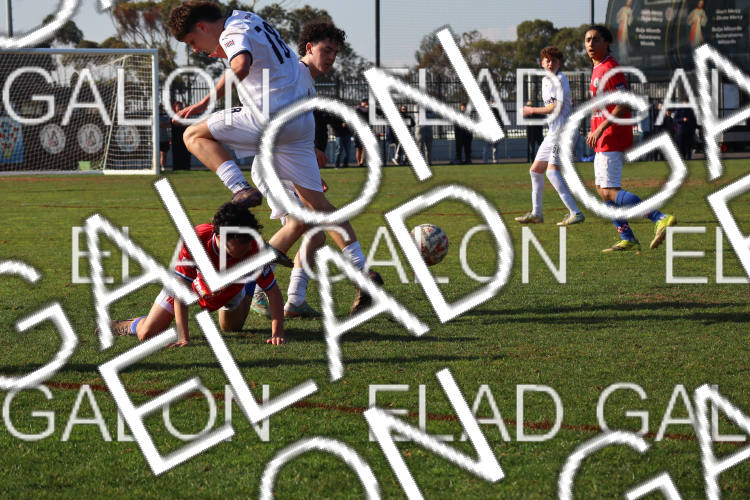 Melbourne Knights vs Oakleigh Cannons photo