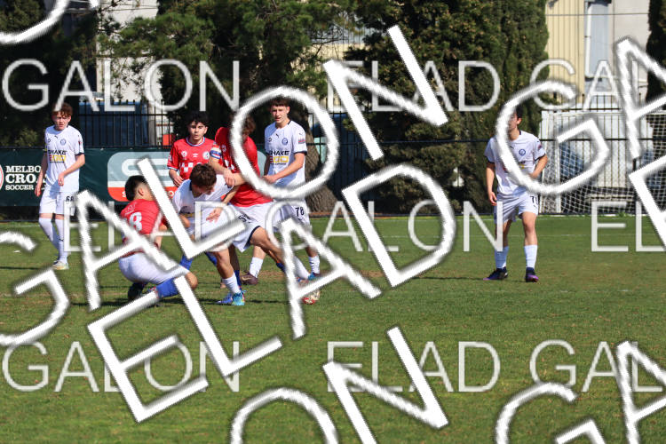 Melbourne Knights vs Oakleigh Cannons photo
