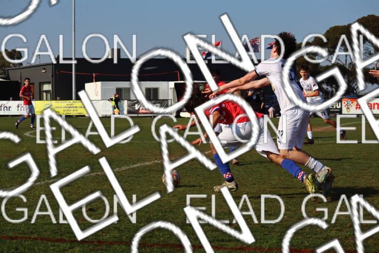 Melbourne Knights vs Oakleigh Cannons photo