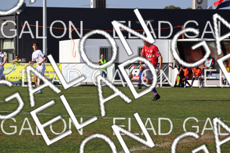Melbourne Knights vs Oakleigh Cannons photo