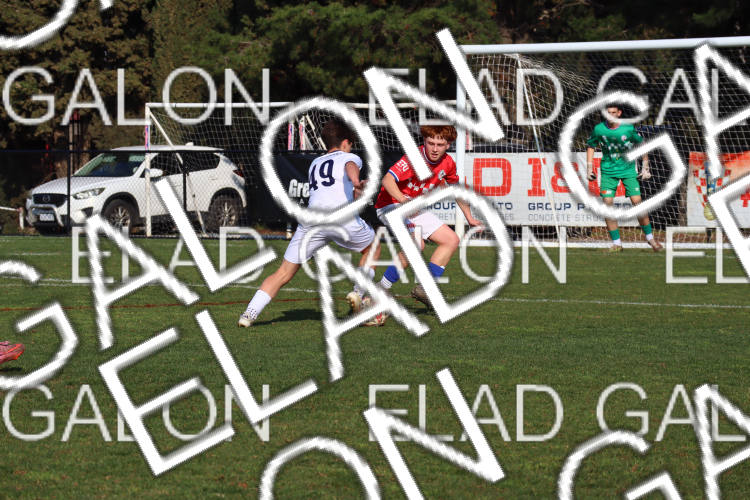 Melbourne Knights vs Oakleigh Cannons photo