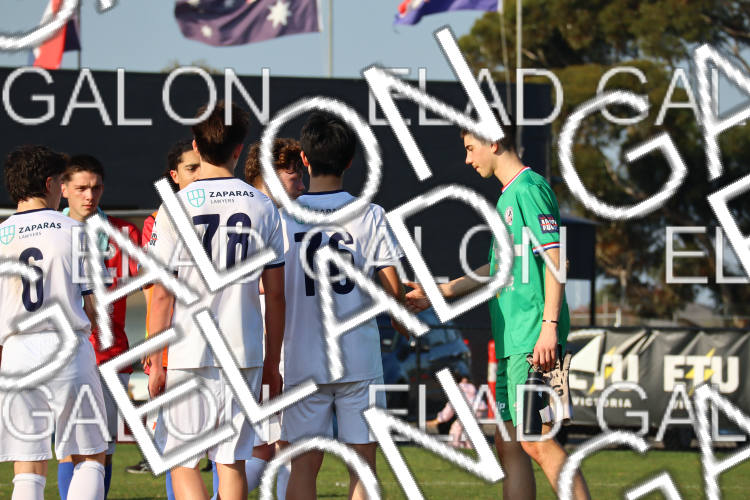 Melbourne Knights vs Oakleigh Cannons photo