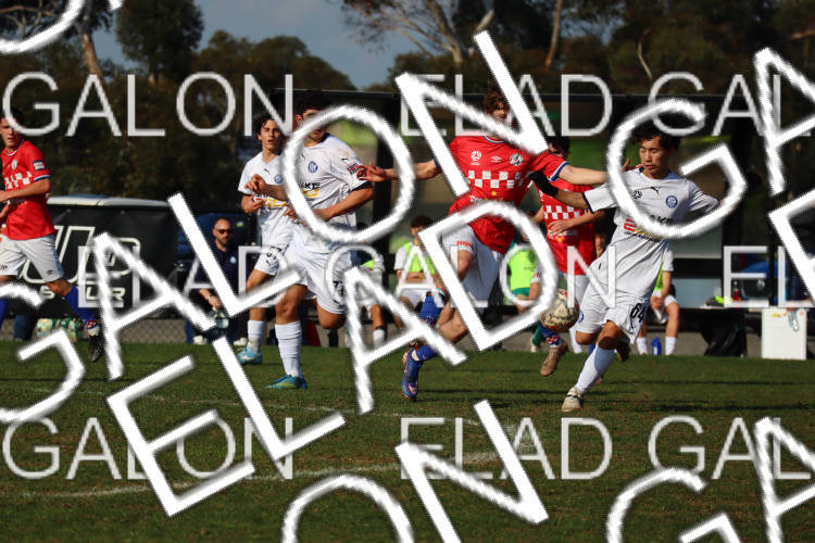 Melbourne Knights vs Oakleigh Cannons photo