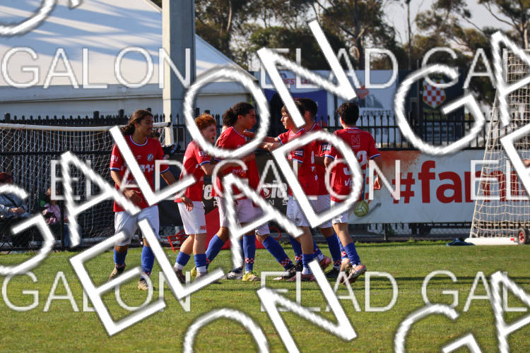 Melbourne Knights vs Oakleigh Cannons photo