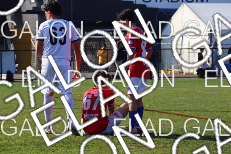 Melbourne Knights vs Oakleigh Cannons photo