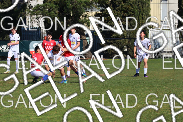 Melbourne Knights vs Oakleigh Cannons photo