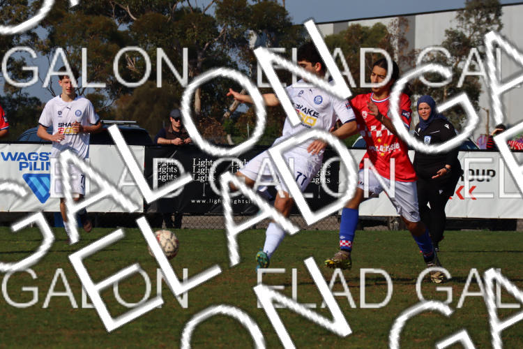 Melbourne Knights vs Oakleigh Cannons photo