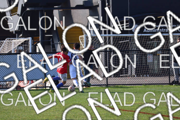 Melbourne Knights vs Oakleigh Cannons photo