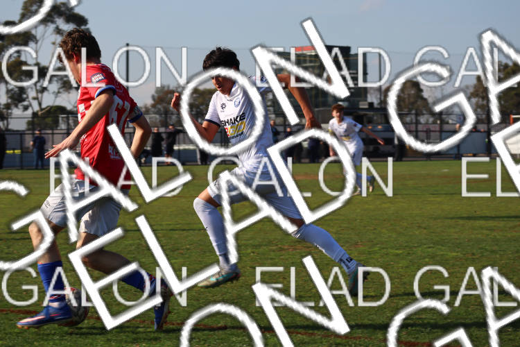 Melbourne Knights vs Oakleigh Cannons photo