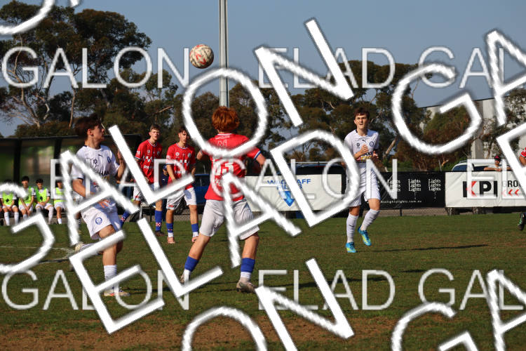 Melbourne Knights vs Oakleigh Cannons photo